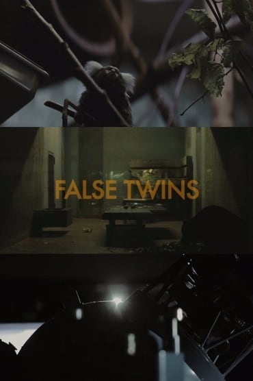 Poster image forFalse Twins