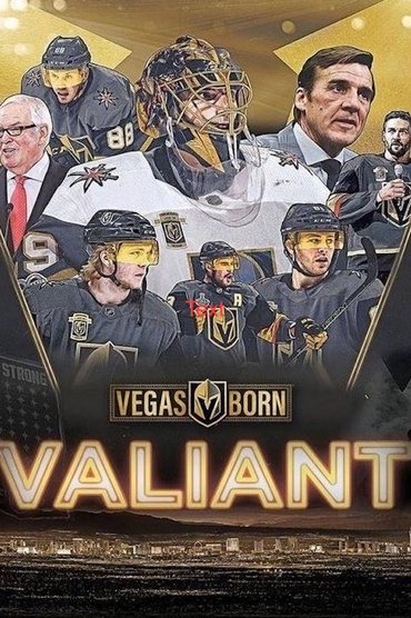 Poster image for Valiant