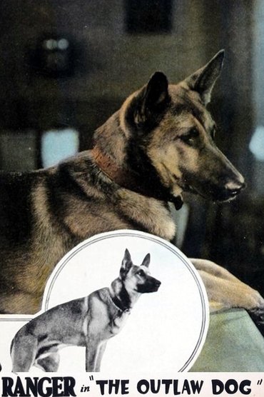 Poster image for The Outlaw Dog