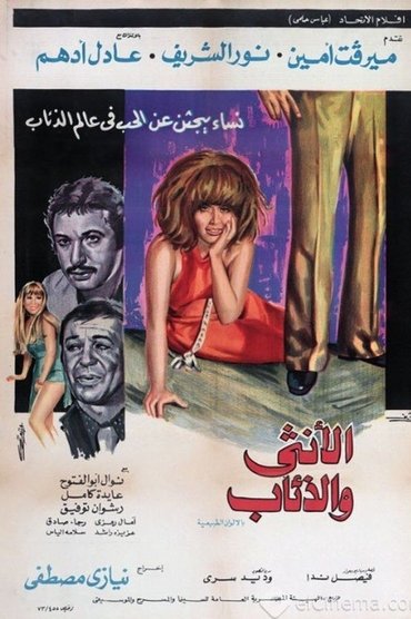 Poster image for The Lady and the Wolves