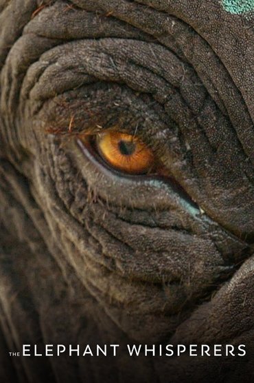 Poster image forThe Elephant Whisperers