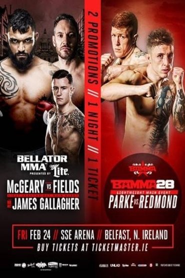 Poster image for Bellator 173: McGeary vs. McDermott