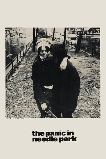 Poster image forThe Panic in Needle Park