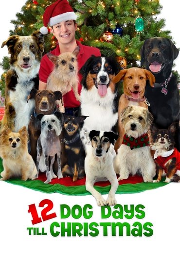Poster image for 12 Dog Days Till Christmas