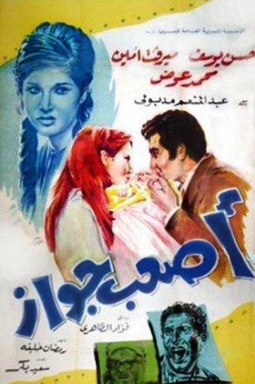Poster image for The hardest marriage