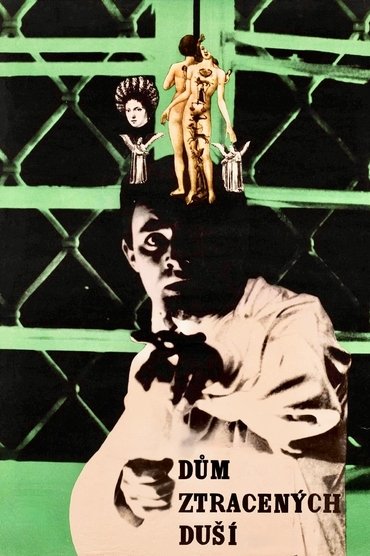 Poster image for The House of Lost Souls
