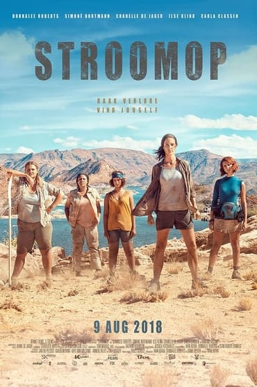 Poster image for Stroomop