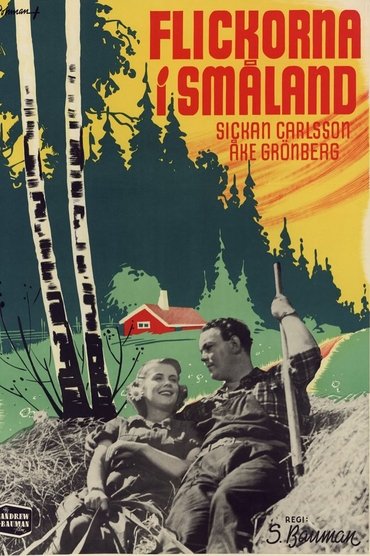 Poster image for Flickorna i Småland