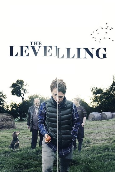 Poster image forThe Levelling