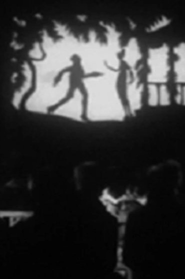 Poster image for Der verlorene Schatten