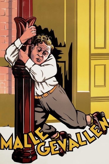 Poster image for Malle gevallen