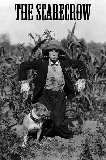Poster image for The Scarecrow
