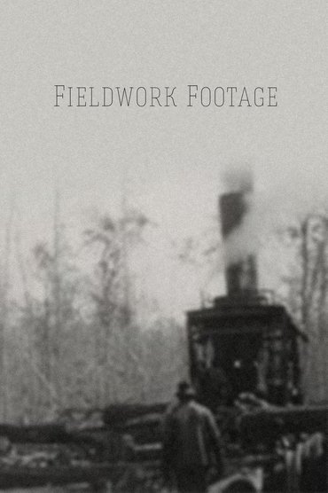 Poster image for Fieldwork Footage