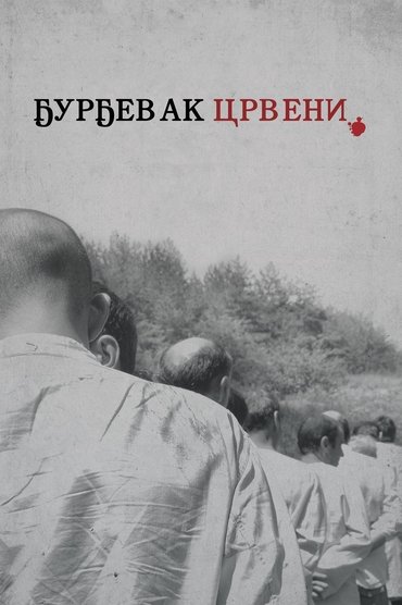 Poster image for The Bloody Lilly of the Valley