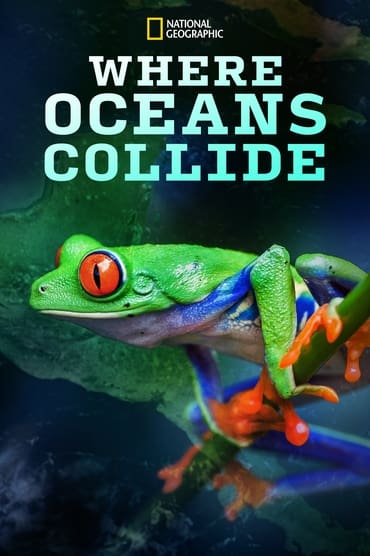 Poster image for Where Oceans Collide