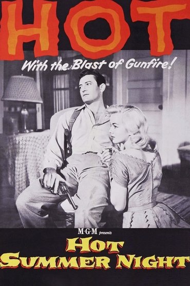 Poster image for Hot Summer Night