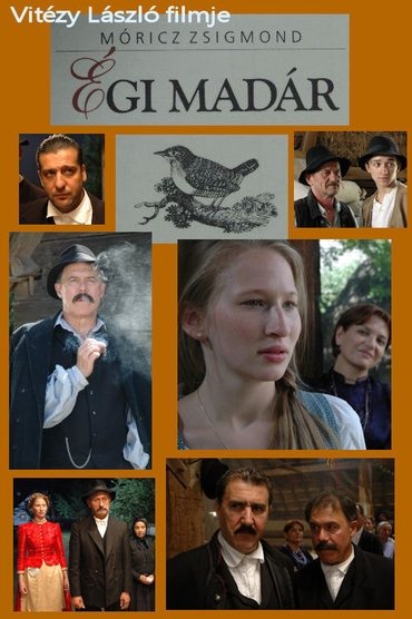 Poster image for Égi madár