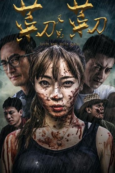 Poster image for 菜刀又见菜刀