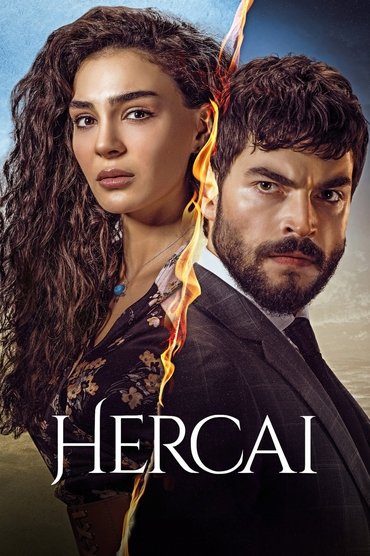 Poster image forHercai