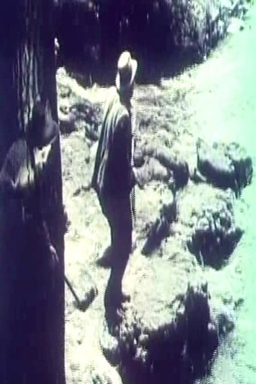 Poster image for The Cub
