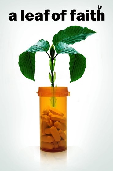 Poster image for A Leaf of Faith