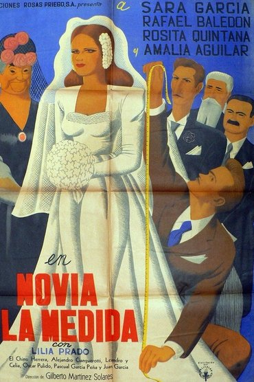 Poster image for Novia a la medida