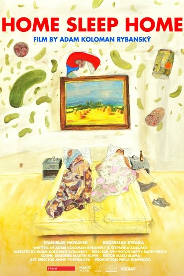 Poster image forHome Sleep Home