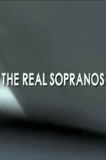 Poster image for The Real Sopranos