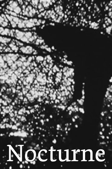 Nocturne