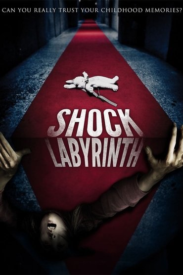 The Shock Labyrinth