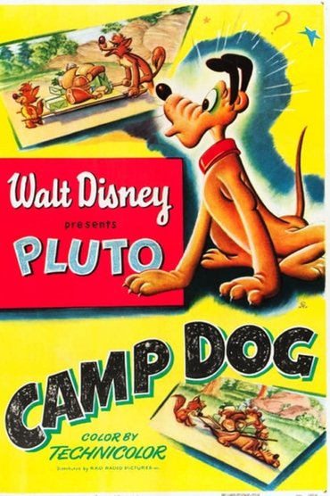 Camp Dog