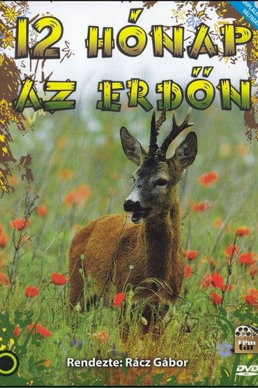 12 muaj në pyll
