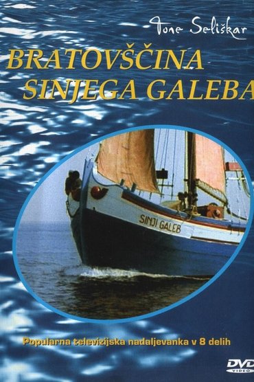 The Cyan-Blue Seagull Brotherhood
