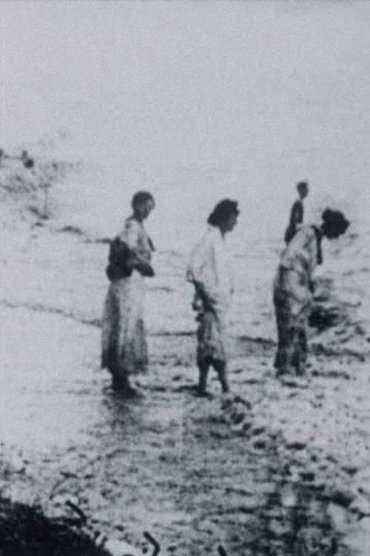Seashore