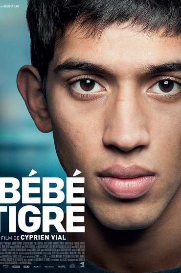 Young Tiger