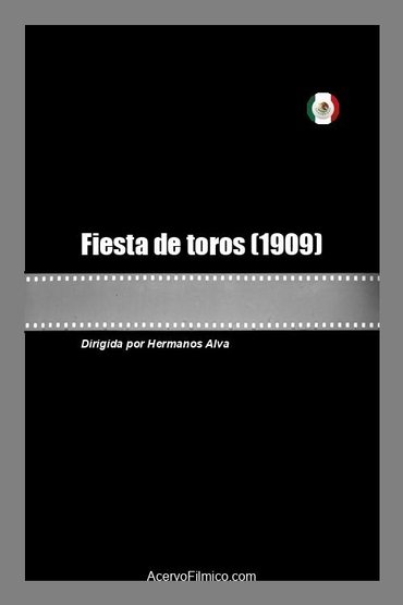 Fiesta de toros