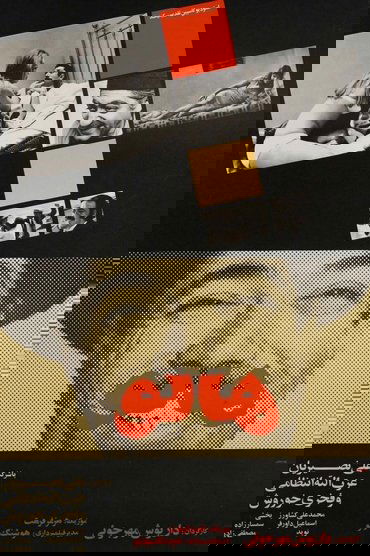 Mr. Gullible