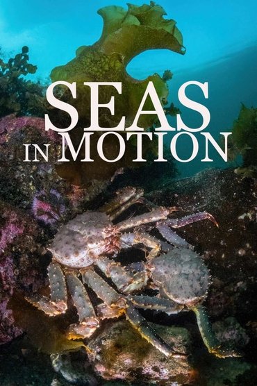 Unsere Meere: Die Nordsee. Die Ostsee