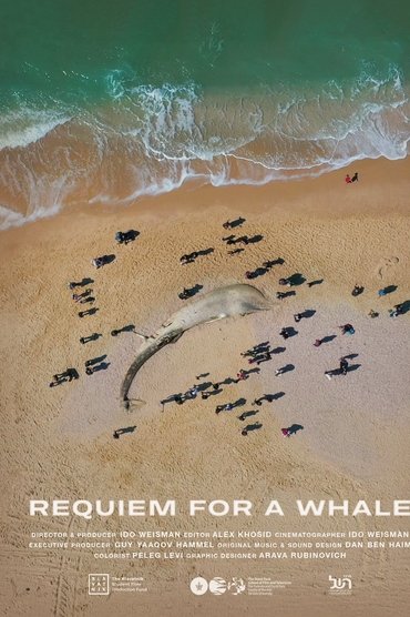 Requiem for a Whale