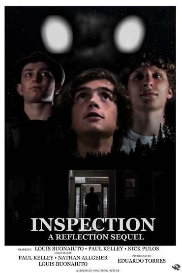 INSPECTION: A REFLECTION SEQUEL