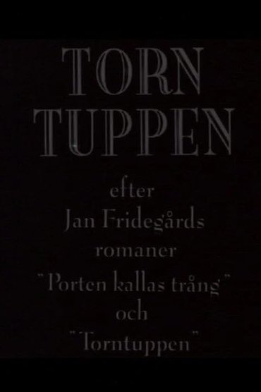 Torntuppen