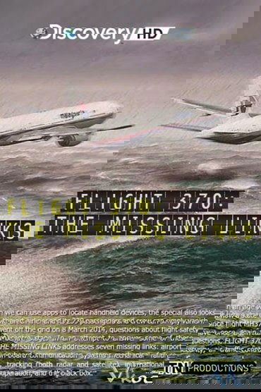Flight 370: The Missing Links