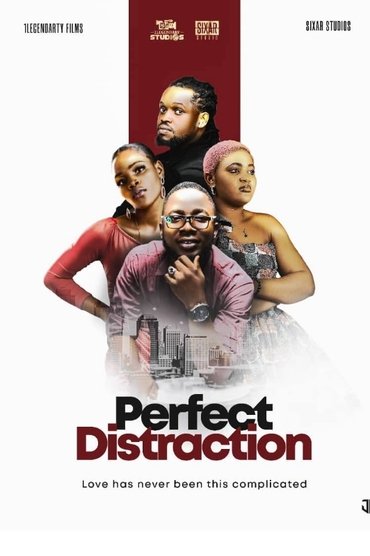 Perfect Distraction