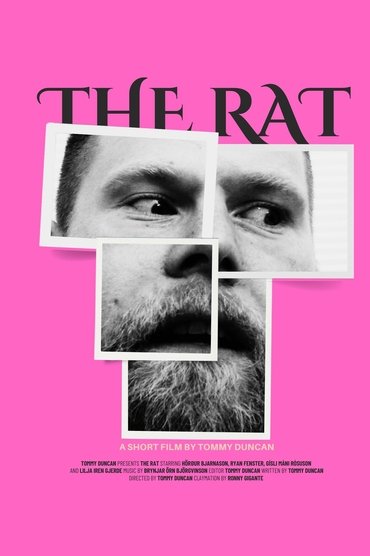 The Rat