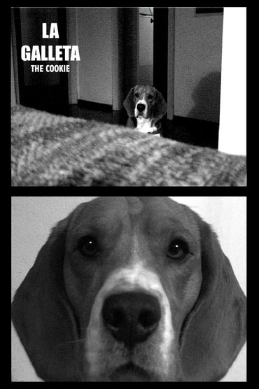 The Cookie