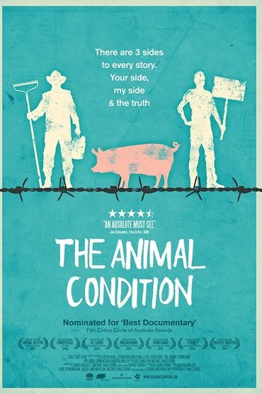 The Animal Condition
