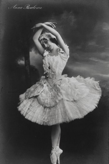The Dying Swan