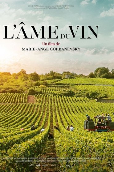 L'âme du vin Affiche L'âme du vin