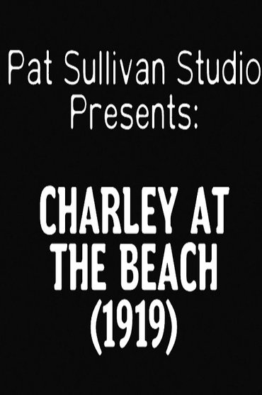 Charley at the Beach