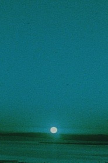 Matter of Clarity